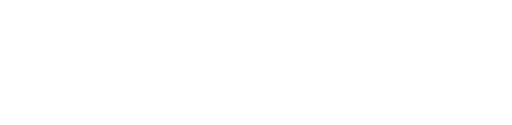 FLOW-LOGO-01-web