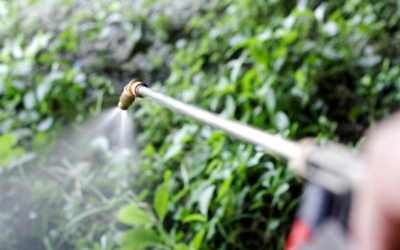 Syngenta moving to settle thousands of lawsuits claiming paraquat causes Parkinson’s disease Syngenta moving to settle thousands of lawsuits claiming paraquat causes Parkinson’s disease